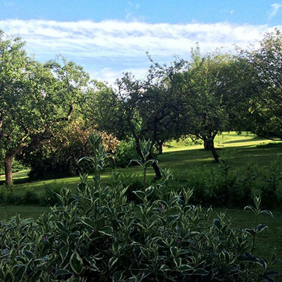 Beechfield Cottages Meopham  Eksteriør bilde